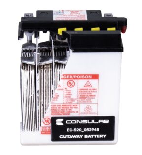 Lead-Acid Battery Cutaway Trainer